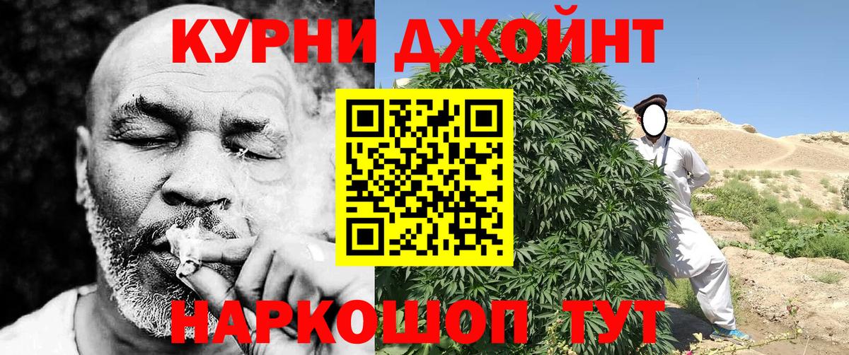Канабис планчик Родники
